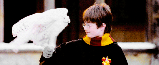 Reestreno Harry Potter