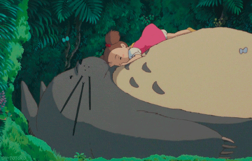 Totoro de Studio Ghibli