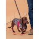 Imperméable ajustable Captain America Marvel pour chiens