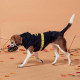 Sudadera para perro Batman con orejitas