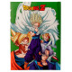 LIBRETA CON LUZ BATALLA FINAL CELL DRAGON BALL Z