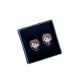 Pendientes Harry Potter Chibi