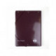 CARPETA ESCOLAR HARRY POTTER GRYFFINDOR