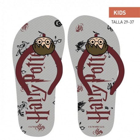 CHANCLAS PREMIUM HARRY POTTER