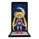 Sailor Moon Tamashi Amici