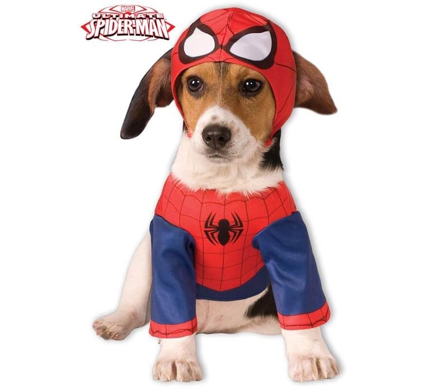 locutor invierno cebra Disfraz Spiderman Marvel para perro por 27€ – LaFrikileria.com