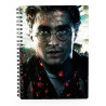 Carnet de notes 3D - Visage de Harry Potter