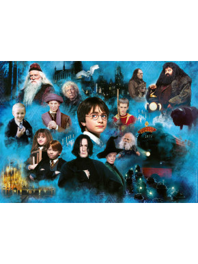 Puzzle Harry Potter Magic World 1000 piezas