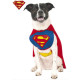 Disfraz Superman DC Comics para perro