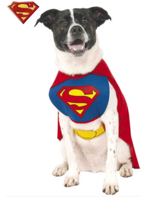 Disfraz Superman DC Comics para perro