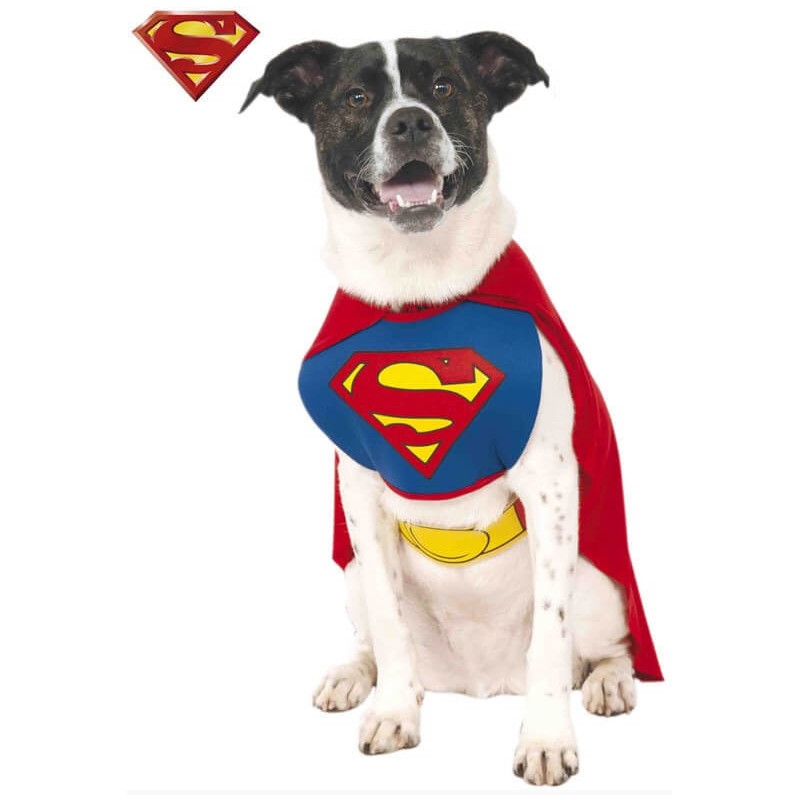 Ahuyentar Equipar digestión Disfraz Superman DC Comics para perro por 16.90€ – LaFrikileria.com