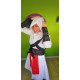 Disfraz Ezio Assassin's Creed Hombre