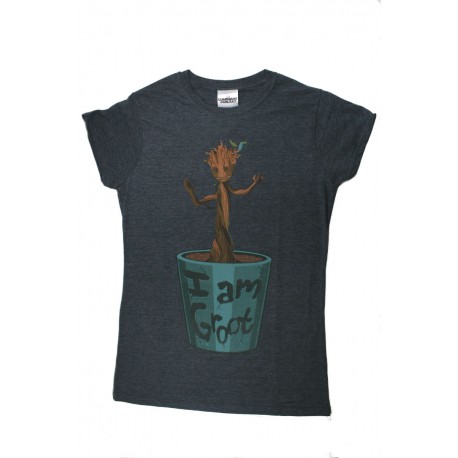 Voogden van de galaxy t-shirt Groot
