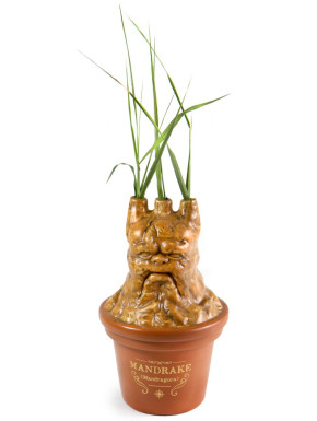 Pot de fleurs Harry Potter Poudlard Mandrake