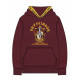 SUDADERA CON CAPUCHA COTTON BRUSHED HARRY POTTER