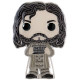 Harry Potter POP! Pin Chapa esmaltada Sirius Black 10 cm