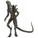 Figuur Alien Isolatie