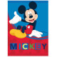 Manta Disney Mickey Mouse