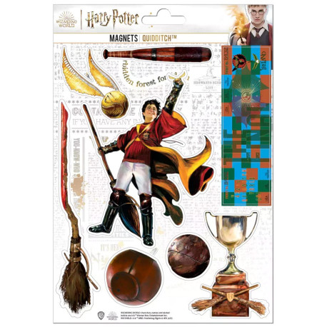 Set de Imanes de Goma Harry Potter Quidditch