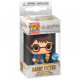 Harry Potter - Chamber of Secrets Anniversary Llaveros Pocket POP! Vinyl Harry 4 cm Expositor (12)