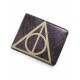 Portfolio-Harry Potter En Relieken