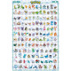 POKEMON - Poster "Hoenn Pokemon English" (91.5x61)