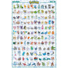 Poster Pokemon Hoenn