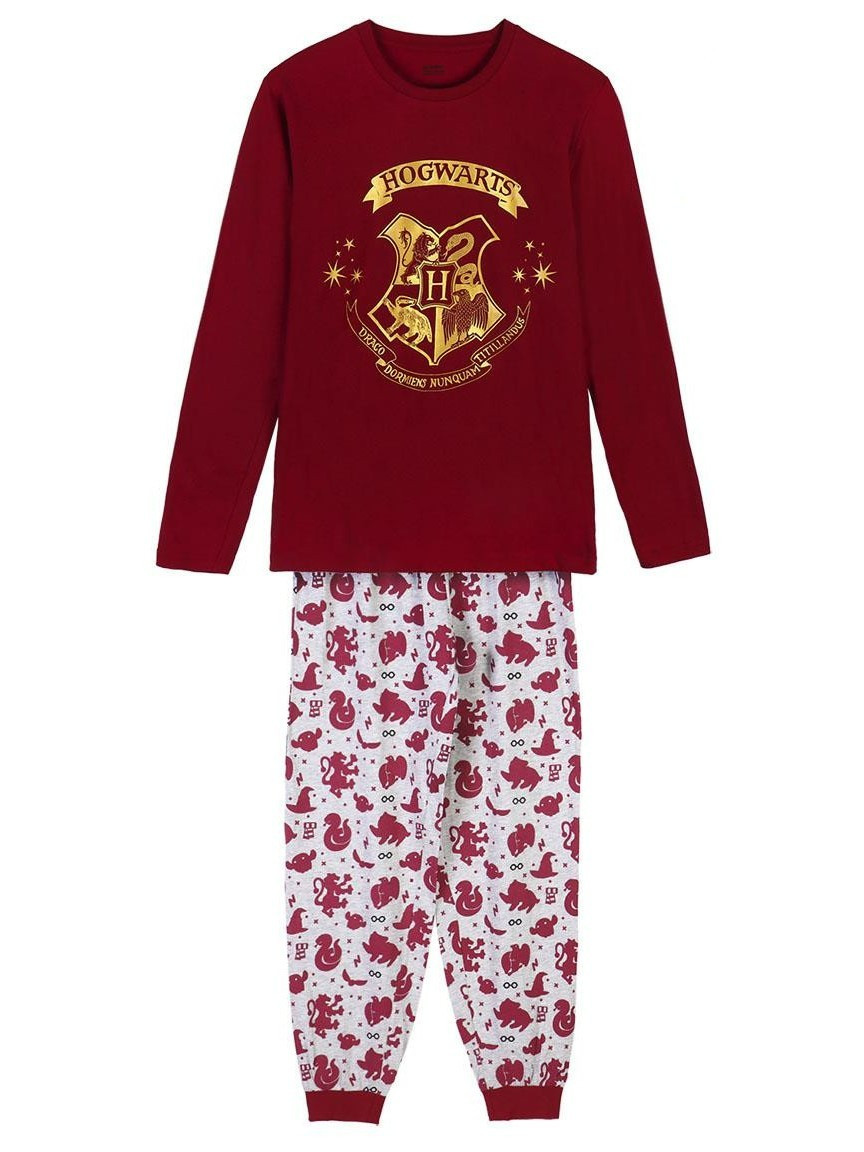 encanto halcón inteligente Pijama Harry Potter hombre solo 29.90€ - lafrikileria.com