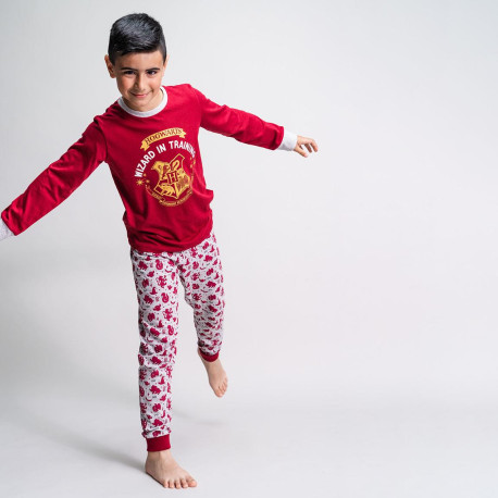 PIJAMA LARGO SINGLE JERSEY HARRY POTTER