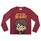 PIJAMA LARGO INTERLOCK HARRY POTTER