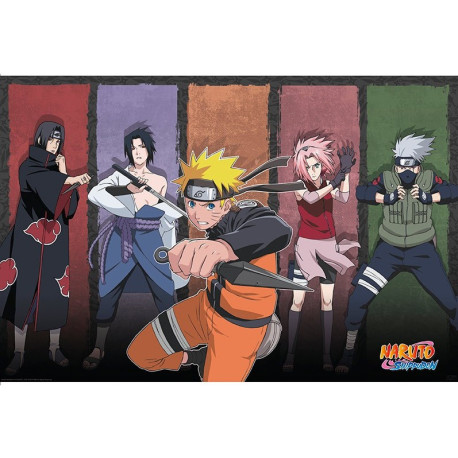 Poster des personnages de Naruto Shippuden