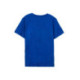 CAMISETA CORTA SINGLE JERSEY PAW PATROL