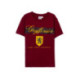 CAMISETA CORTA SINGLE JERSEY HARRY POTTER
