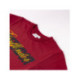 CAMISETA CORTA SINGLE JERSEY HARRY POTTER