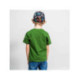 CAMISETA CORTA SINGLE JERSEY AVENGERS HULK