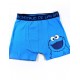 Sesame street boxer garçon