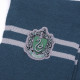 Ensemble chapeau et écharpe Serpentard Harry Potter