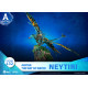 Figurine Avatar 2 Neytiri sur un Ikran 15cm Beast Kingdom