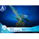 Figurine Avatar 2 Neytiri sur un Ikran 15cm Beast Kingdom