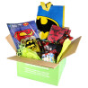 Caja sorpresa Batman y DC