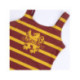 BAÑADOR HARRY POTTER