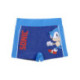 Boxer de bain officiel de Sonic