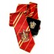 Pack a tie and brooch Gryffindor