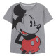 CAMISETA CORTA SINGLE JERSEY PUNTO MICKEY