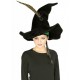 Chapeau Pour Minerva McGonagall Harry Potter