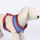 ARNÉS PREMIUM PARA PERROS M/L DC PETS