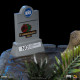 Parque Jurásico Estatua 1/20 Demi Art Scale T-Rex attacks Donald Gennaro 30 cm
