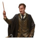 Figura decorativa Harry Potter Lupin