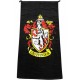 Asciugamano Harry Potter Gryffindor spiaggia