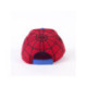 GORRA VISERA CURVA SPIDERMAN